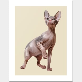 Drawing Sphynx kitten Posters and Art